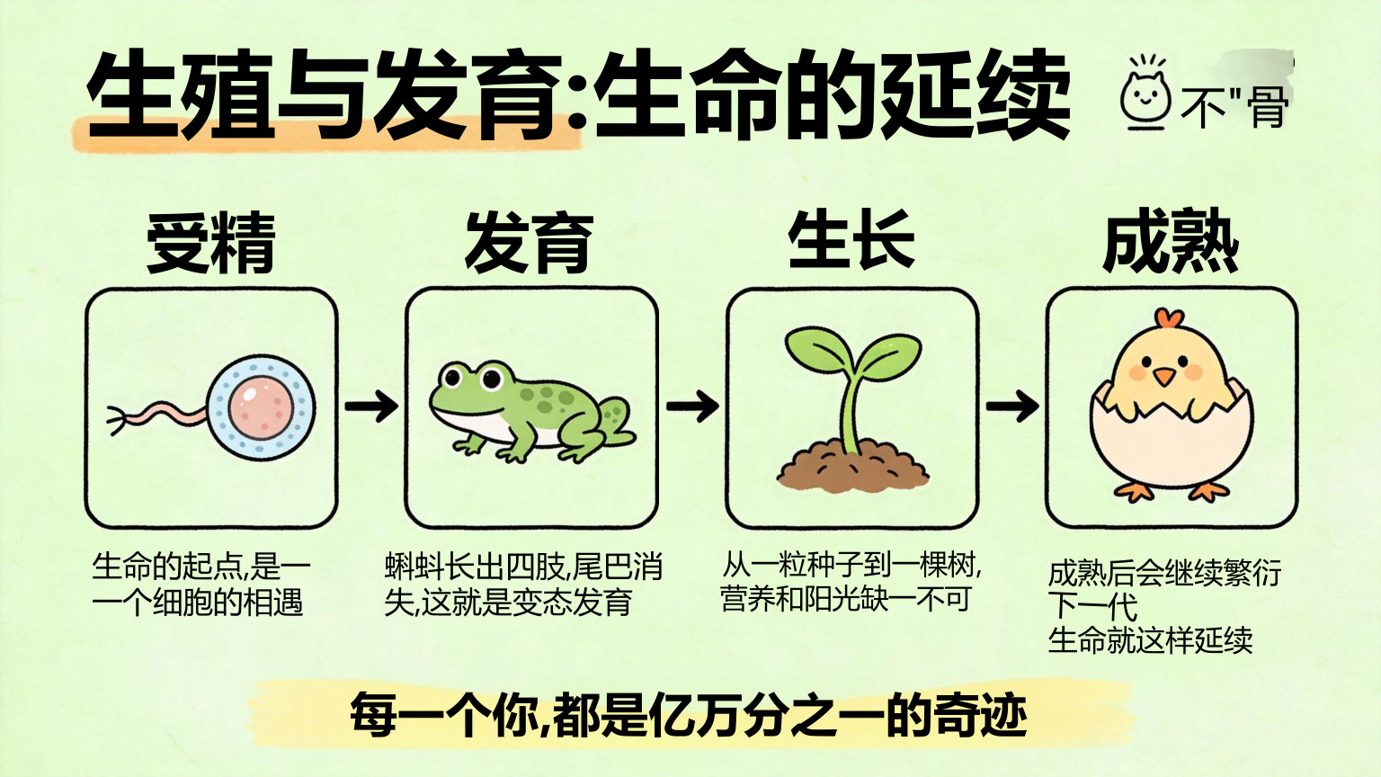 【0018】【初二】【八年级】【生物】秋季开学第一课主题班会 预览