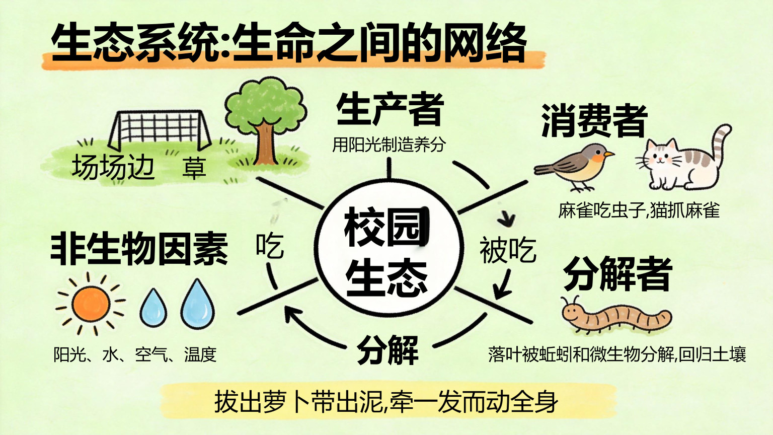 【0018】【初二】【八年级】【生物】秋季开学第一课主题班会 预览