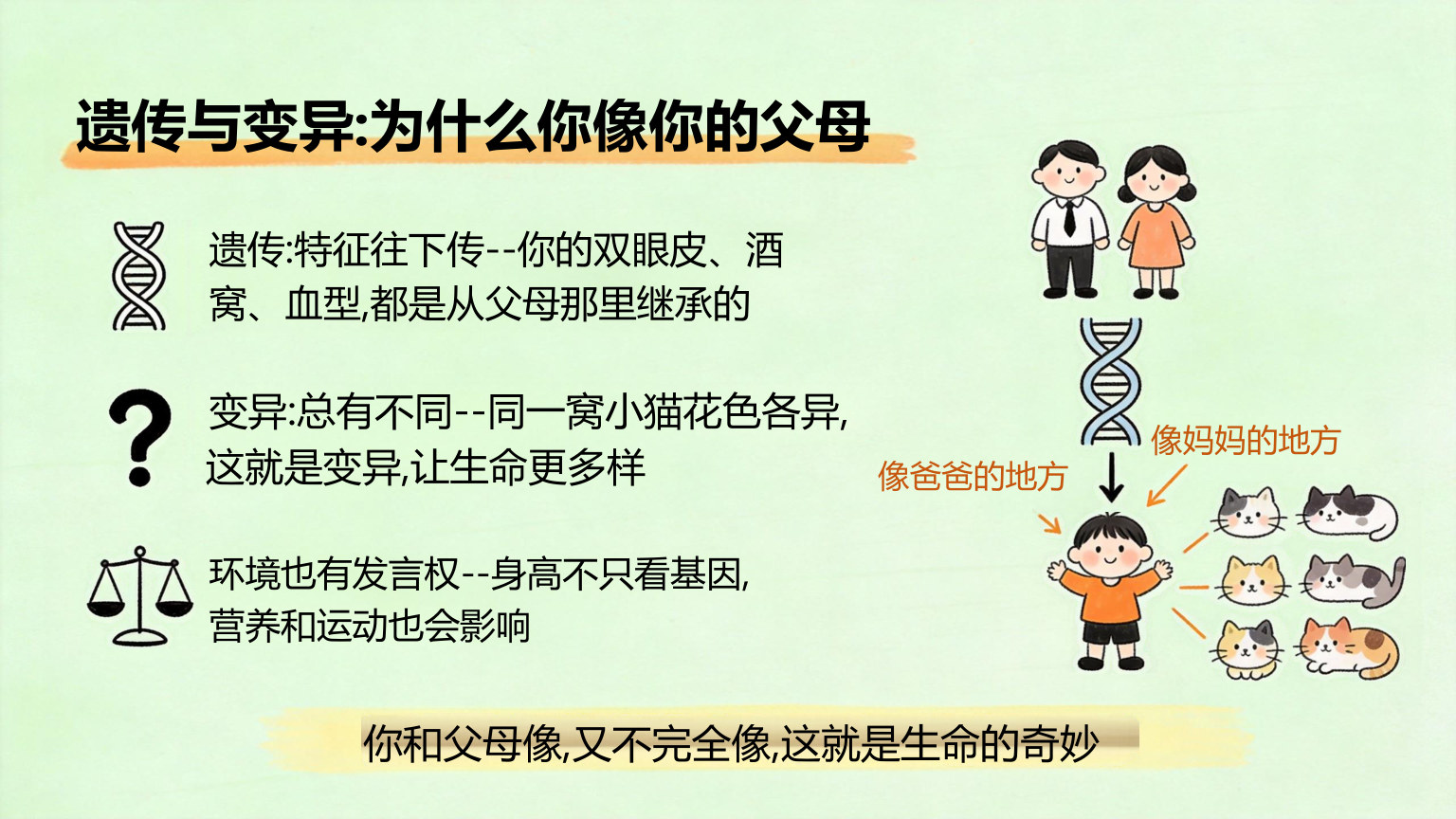 【0018】【初二】【八年级】【生物】秋季开学第一课主题班会 预览