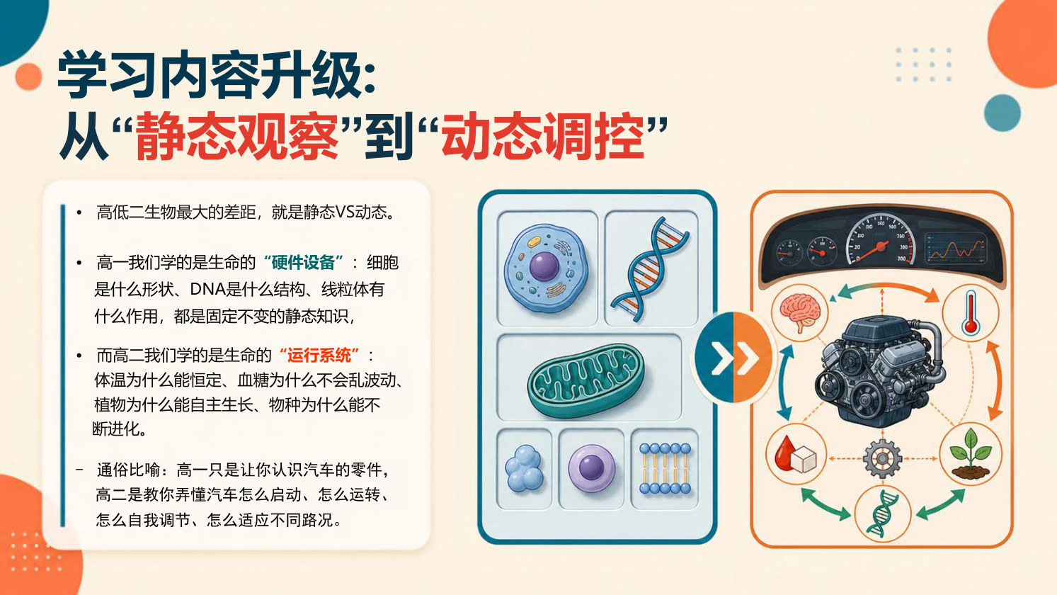 【0057】高二生物开学第一课-0208【完整版】 预览