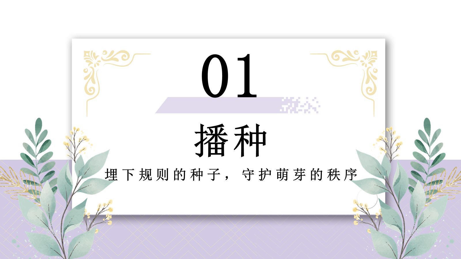 【0177】2026年【班主任】【育人故事】分享：破土而出的光芒，家校共育的成长蜕变 预览