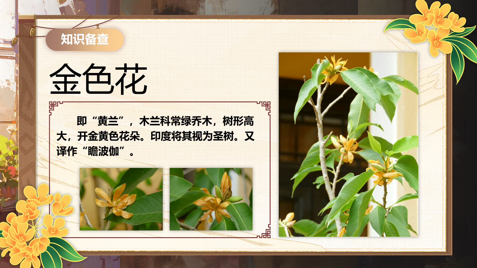 【0333】散文诗二首-金色花 预览