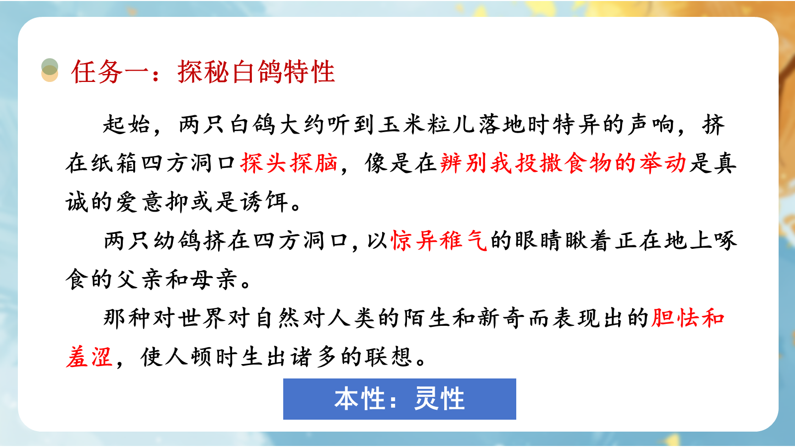 资料预览