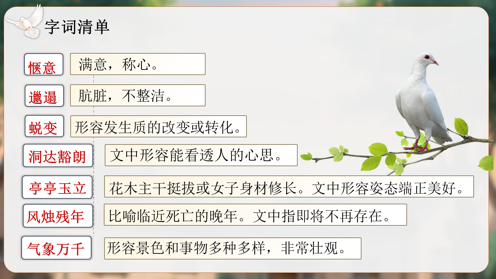 资料预览