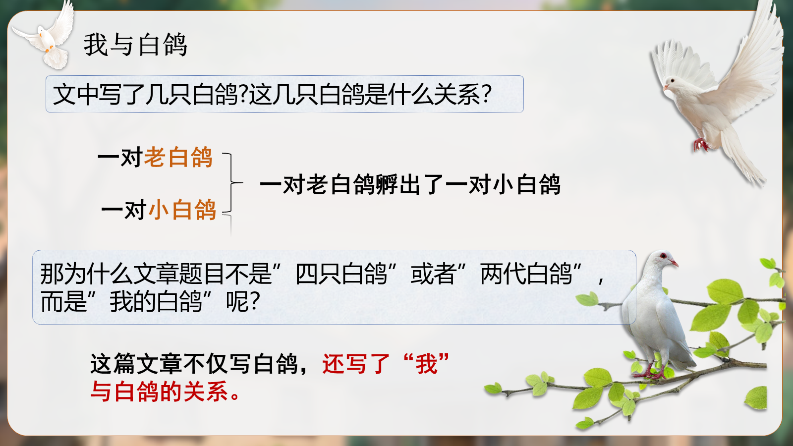 资料预览