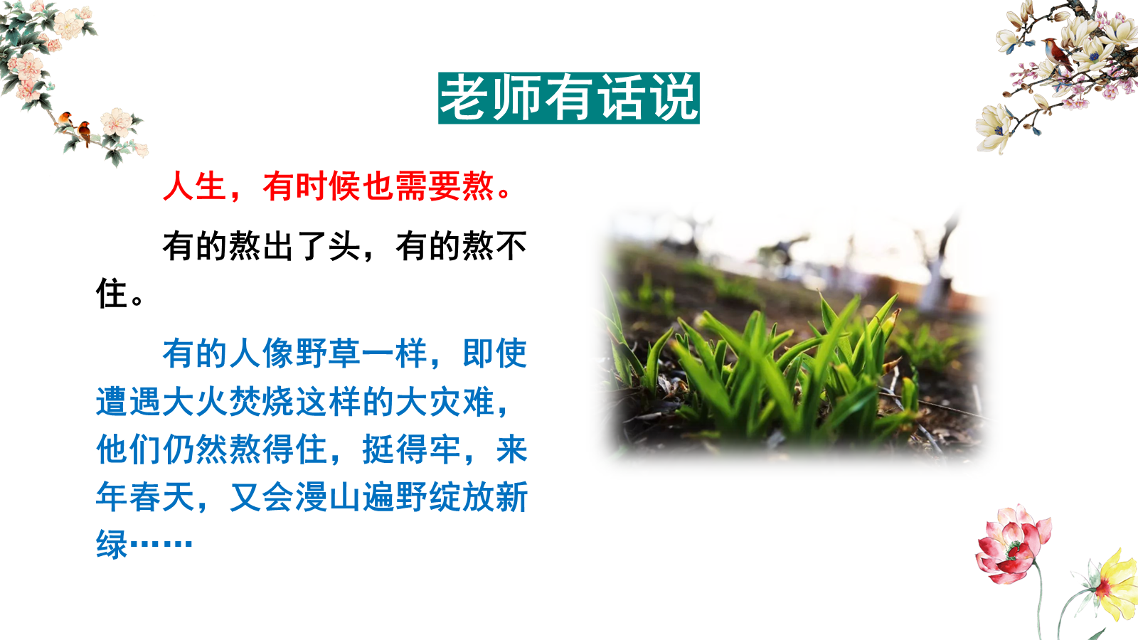 【0453】主题班会：【励志班会】励志教育主题班会《有时，成功是熬出来！》 预览
